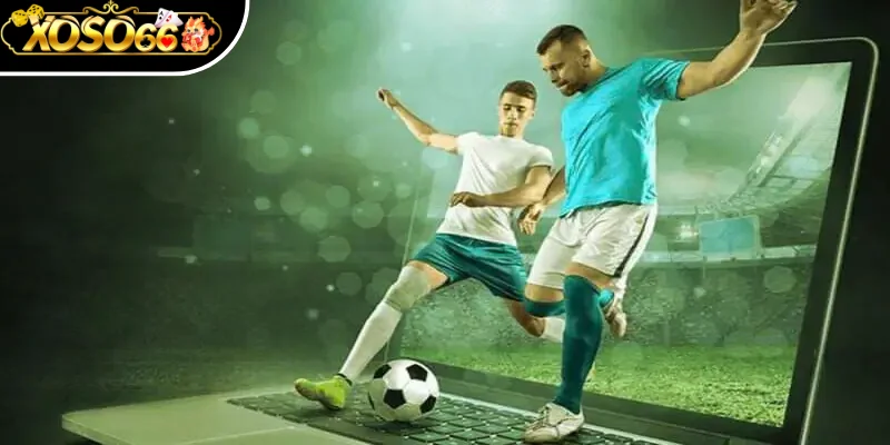 Thể thao Xoso66 có kèo đặt cược phổ biến nào? 